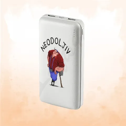 Power Bank