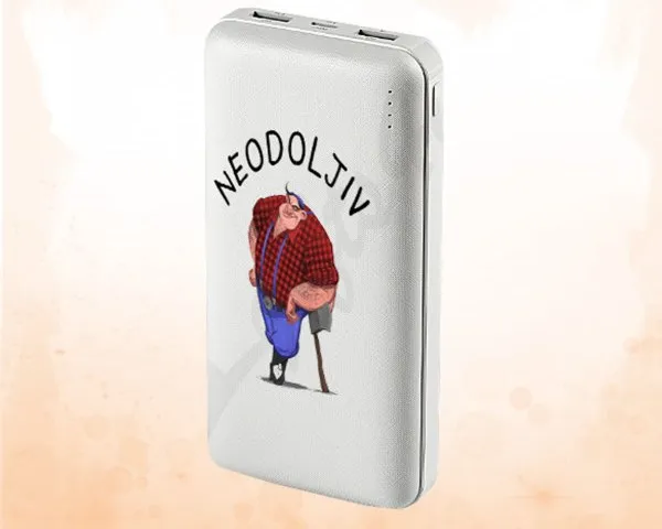 Power Bank