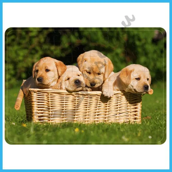 Proizvod Puppies puzzle Slika