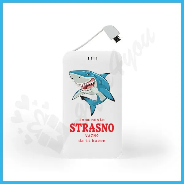 Proizvod Važno power bank Slika